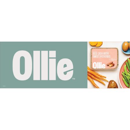 Picture of Freezer DG FRZ FD OLLIE HEADER