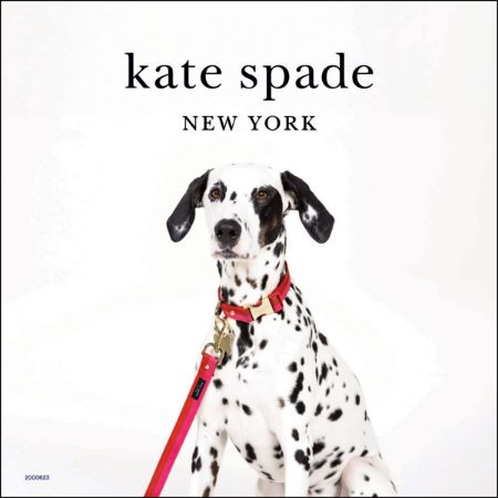 Picture of MAY DG C&L 10X10 KATE SPADE SIGN