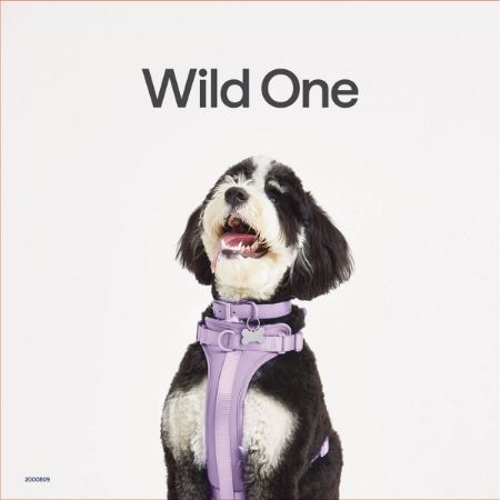 Picture of MAY DG C&L 10X10 WILD ONE SIGN
