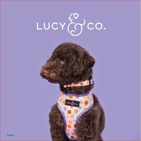Picture of MAY UNSQ 10X10 DG CLH KIT-LUCI & CO