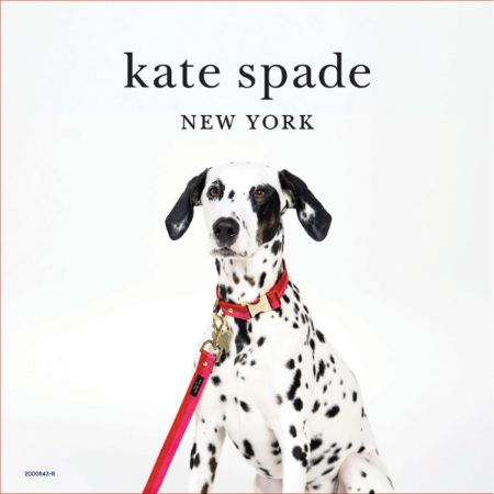 Picture of MAY UNSQ 10X10 DG CLH KIT-KATE SPADE