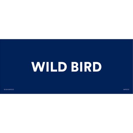 Picture of MAY WILD BIRD 