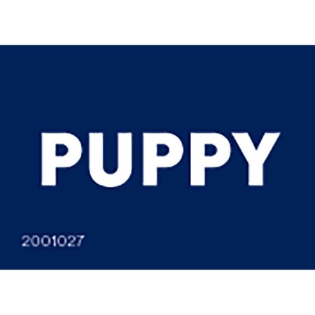 Picture of AUG-24 DG SD WAYFINDING DECALS-PUPPY 50pk