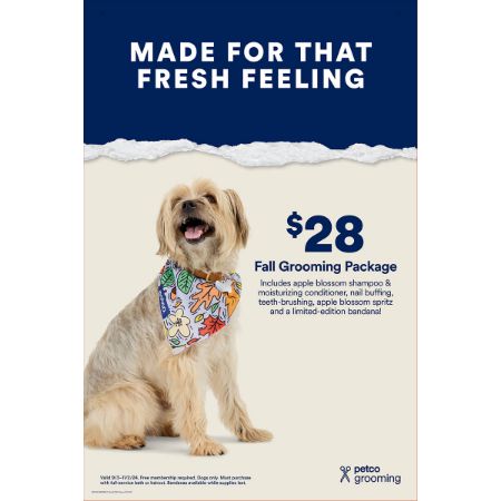 Picture of SEPT-24 Fall Grooming Package - $28 add on 