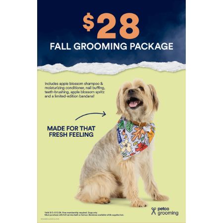 Picture of OCT-24 FALL GROOMING PACKAGE