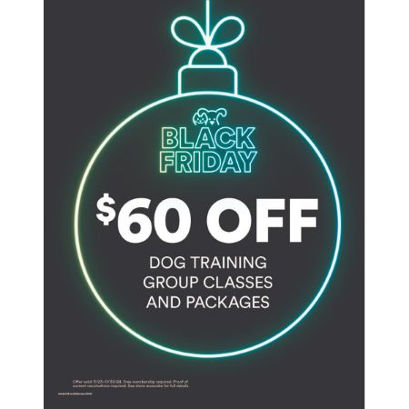 Picture of Nov-24 Black Friday Training Poster