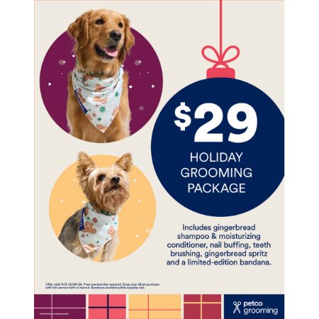 Picture of Nov-24 HOLIDAY SPA PACKAGE Stanchion Poster 22x28 No holes 1-sided