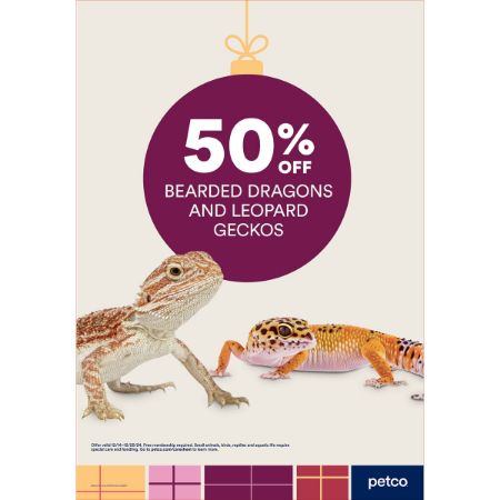 Picture of DEC-24 DEC SEASONAL 2 - CA PRIORITY OFFER DRAGONS & GECKOS