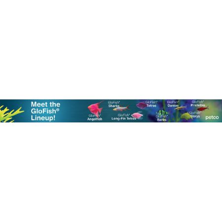 Picture of DEC-24 46X4.75 GLOFISH LIVE SIGNS-LINEUP