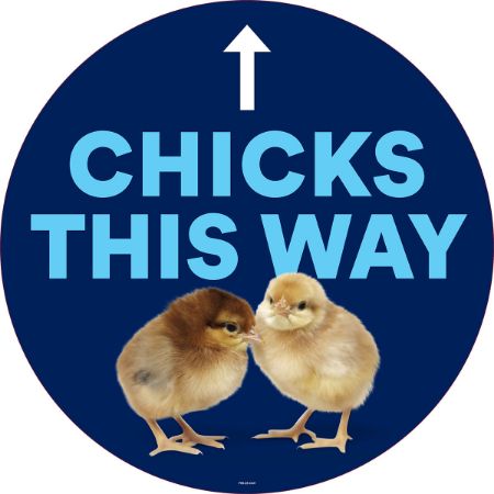 Picture of FEB-25 CHICK SEASON DECAL