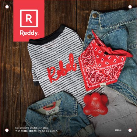 Picture of FEB-25 10X10 APPAREL REDDY