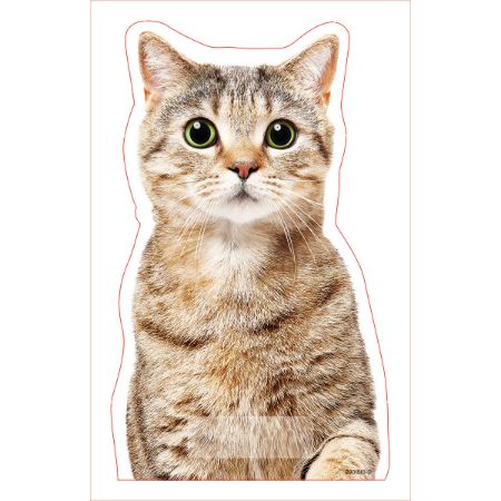 Picture of MAR-25 PAPERDOLL CAT