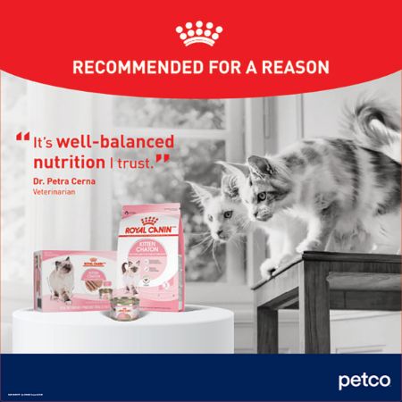 Picture of MAY-25 LARGE FLOOR DECAL - CAT