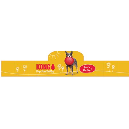Picture of MAY-25 KONG SUMMER