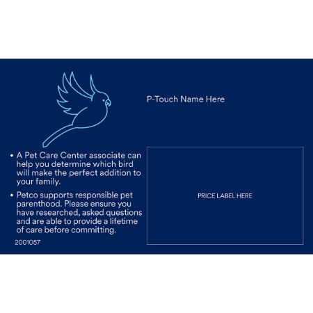 Picture of JUN-25 GENERIC BIRD PHOTO ID set of 25 same art