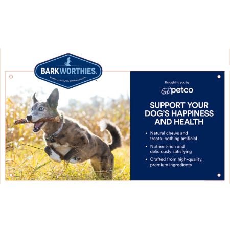 Picture of AUG-25 DG CHEWS-BUSY 20X10 SIGN KT-BARKWORTHIES