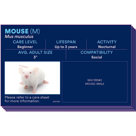 Picture of SEPT-25 SMALL ANIMAL PHOTO ID (pack of 51 different)
