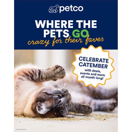 Picture of SEPT-25 CAT MONTH PRIORITY CONSUMABLES OFFER