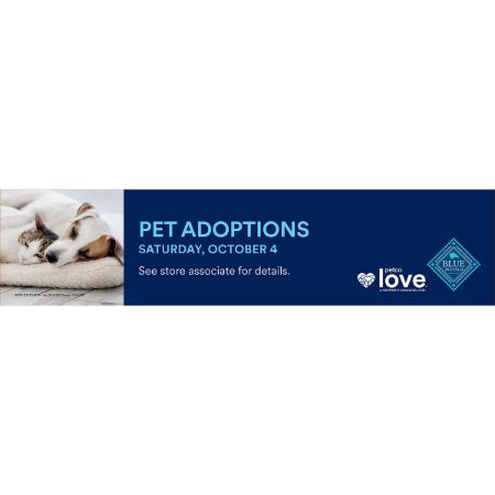 Picture of SEPT-25 Adoption 10/4 Blue Buff