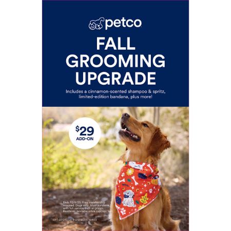 Picture of SEPT-25 GROOMING PRIORITY