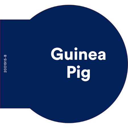 Picture of SEPT-25 SA FOOD WAYFIND-GUINEA PIG