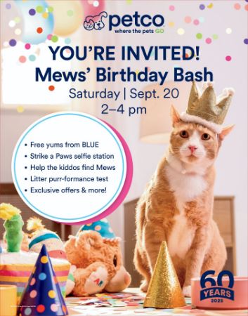 Picture of Mews-25 MEWS BIRTHDAY BASH POSTER