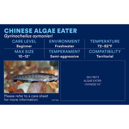 Picture of OCT-25 PHOTO ID-AQ FRESHWATER-CLEANERS & BOTTOM DWELLERS  (52pk diff)