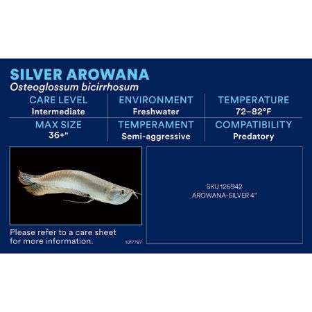 Picture of OCT-25 PHOTO ID-AQ FRESHWATER-EXOTIC FRESHWATER (7pk diff)