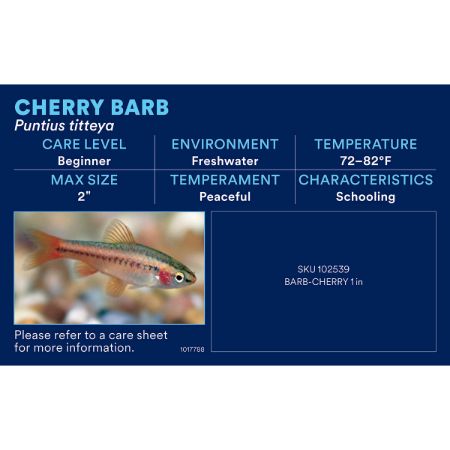 Picture of OCT-25 PHOTO ID-AQ FRESHWATER- COMMUNITY (48pk diff)