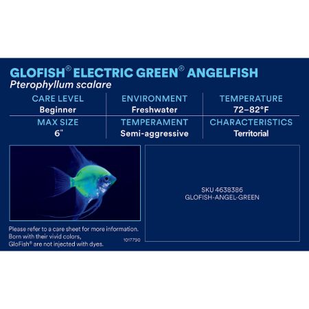 Picture of OCT-25 PHOTO ID-AQ FRESHWATER-GLOFISH (33pk diff)
