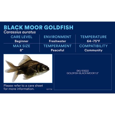 Picture of OCT-25 PHOTO ID-AQ FRESHWATER-GOLDFISH/KOI/MINNOW (26pk diff)