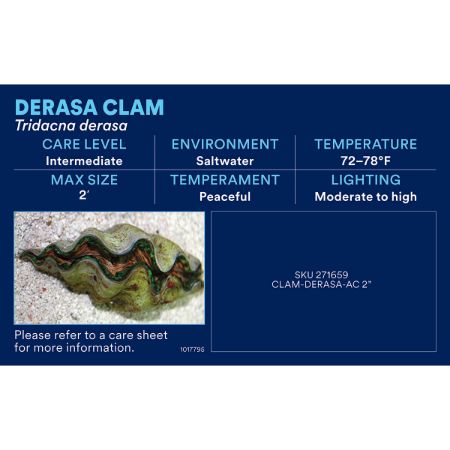 Picture of OCT-25 PHOTO ID-AQ SALTWATER-CORALS & MISC SW FISH (13pk diff)