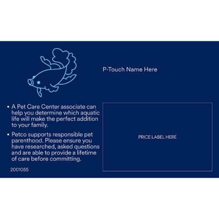 Picture of OCT-25 GENERIC FRESHWATER AQUATIC PHOTO ID'S (75pk same)