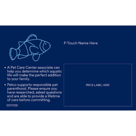 Picture of OCT-25 GENERIC SALTWATER AQUATIC PHOTO ID'S (30pk same)