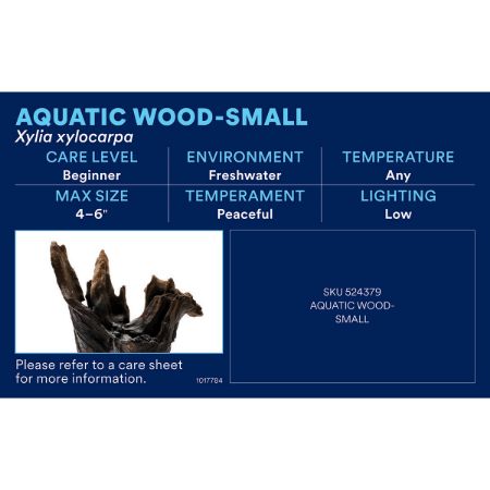 Picture of OCT-25 PHOTO ID-AQ FRESHWATER-AQ PLANTS (30pk diff)