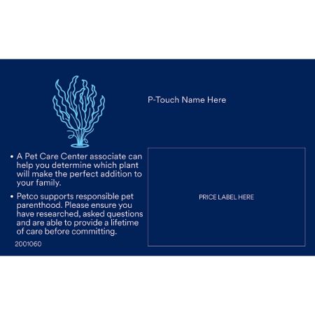 Picture of OCT-25 GENERIC PLANT/ CORAL/ ROCK PHOTO ID'S (30pk same)
