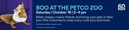 Picture of OCT-25 BOO-TIFUL PET COSTUME CONTEST 10/11
