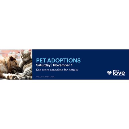 Picture of OCT-25 ADOPTION 11/1