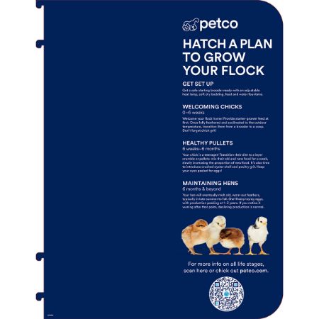Picture of OCT-25 POULTRY 18X24 VIOLATOR