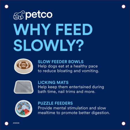Picture of NOV-25 DG BOWL 10X10 SLOW FEEDER