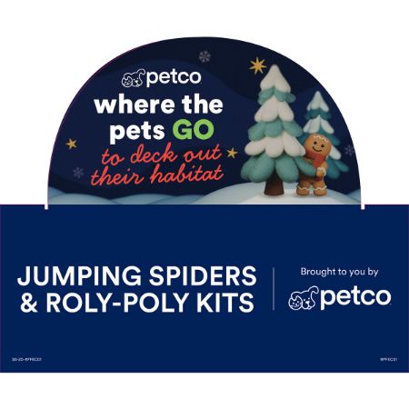 Picture of NOV-25 JUMPING SPIDERS & ROLY-POLY KITS