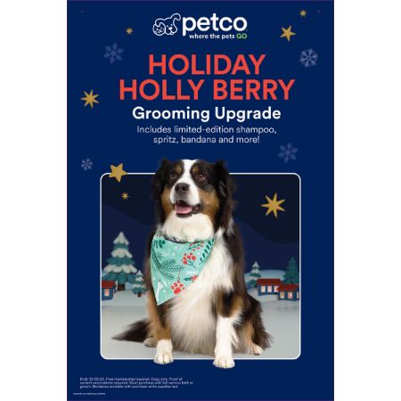 Picture of DEC-25 GROOMING PRIORITY WINDOW POSTER