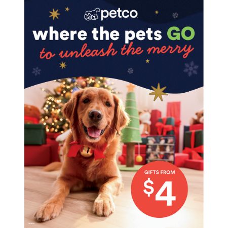 Picture of DEC-25 Top Front Stanchion