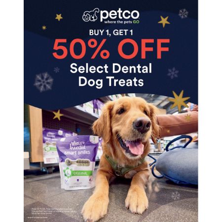 Picture of DEC-25 Food Stanchion