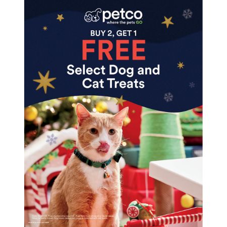 Picture of DEC-25 Food Stanchion