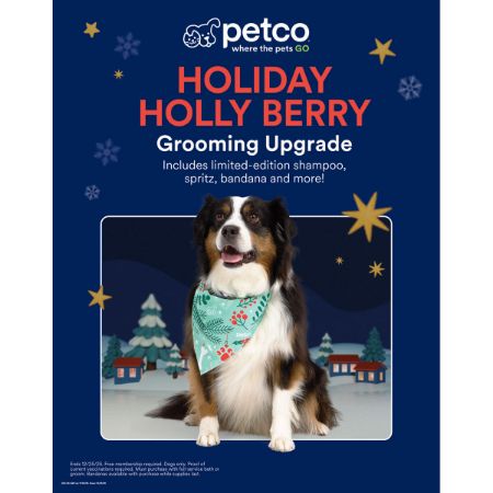 Picture of DEC-25 GROOMING PRIORITY