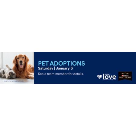 Picture of DEC-25 Event Insert