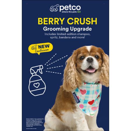 Picture of JAN-26 GROOMING PRIORITY POSTER