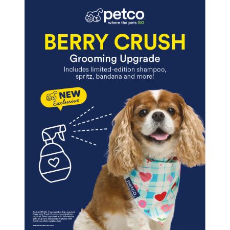 Picture of JAN-26 GROOMING PRIORITY POSTER