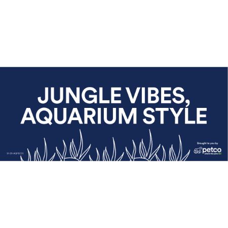Picture of JAN-26 VALUE/IMPULSE AQUARIUM DÉCOR